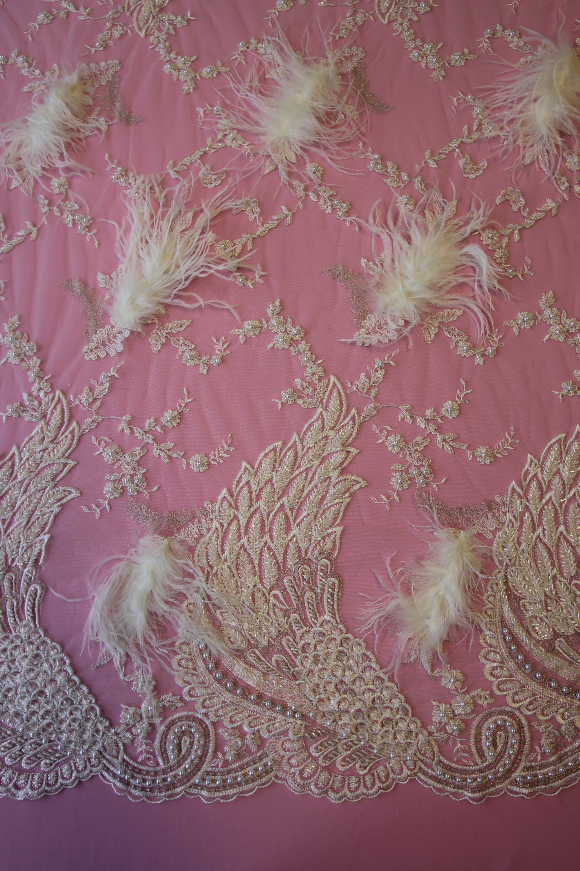 A Feather Flirtation