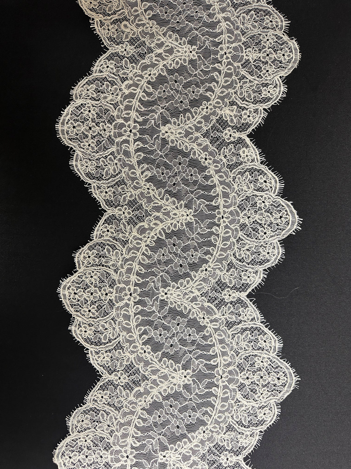 Ivory Corded Lace Trim - Amelia