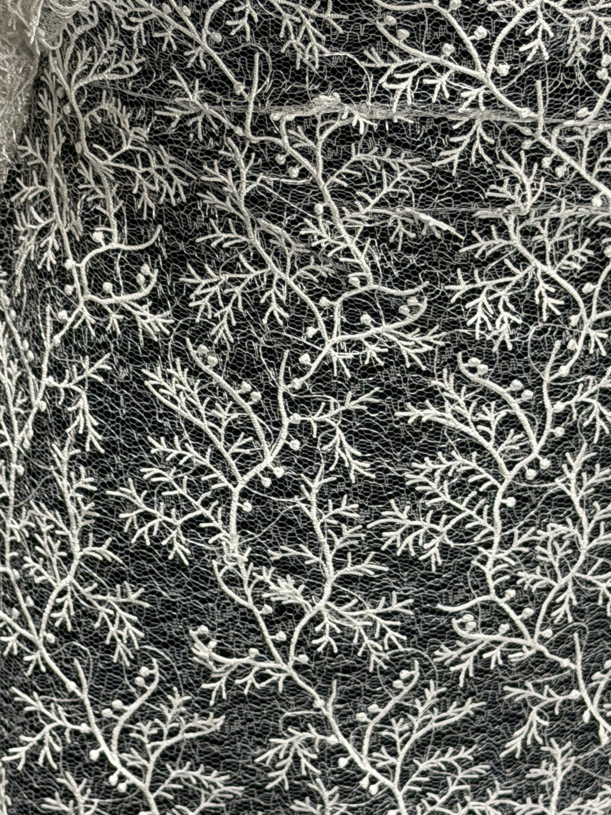 Ivory Embroidery Lace - EB5054