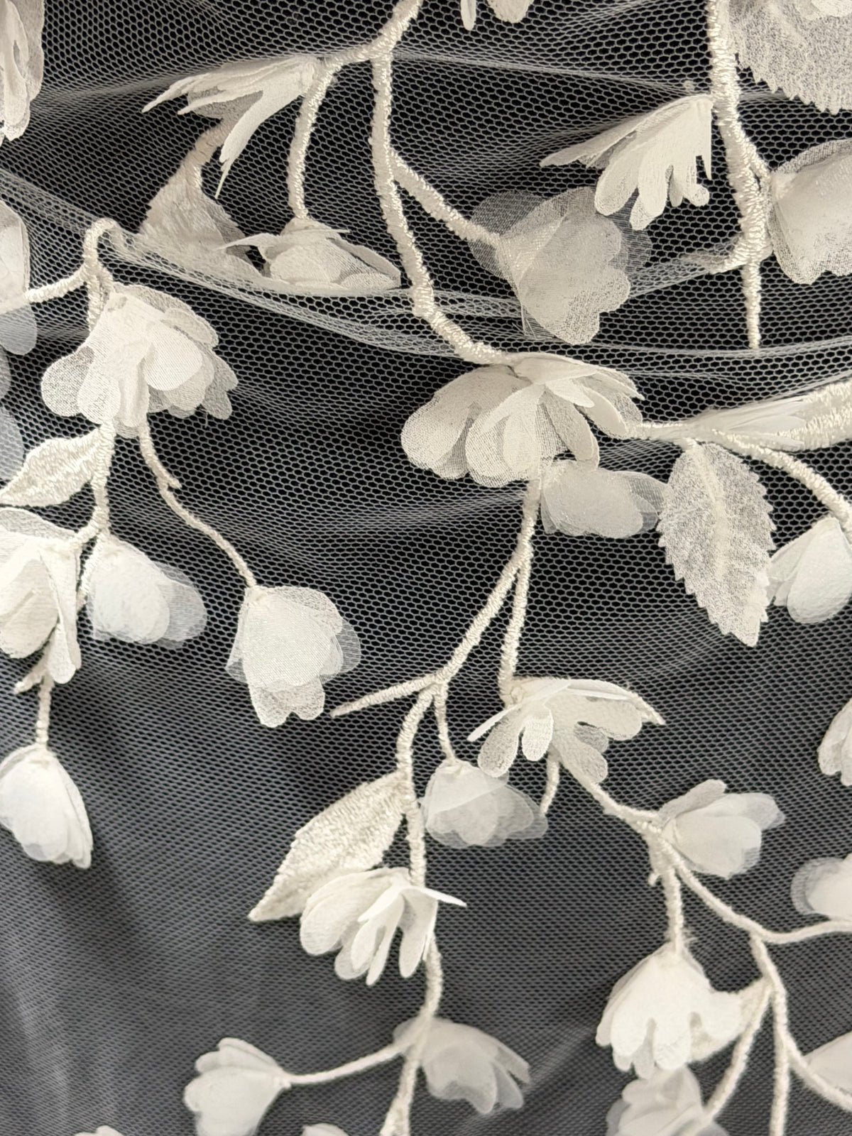 Ivory Laser Lace - EB5019