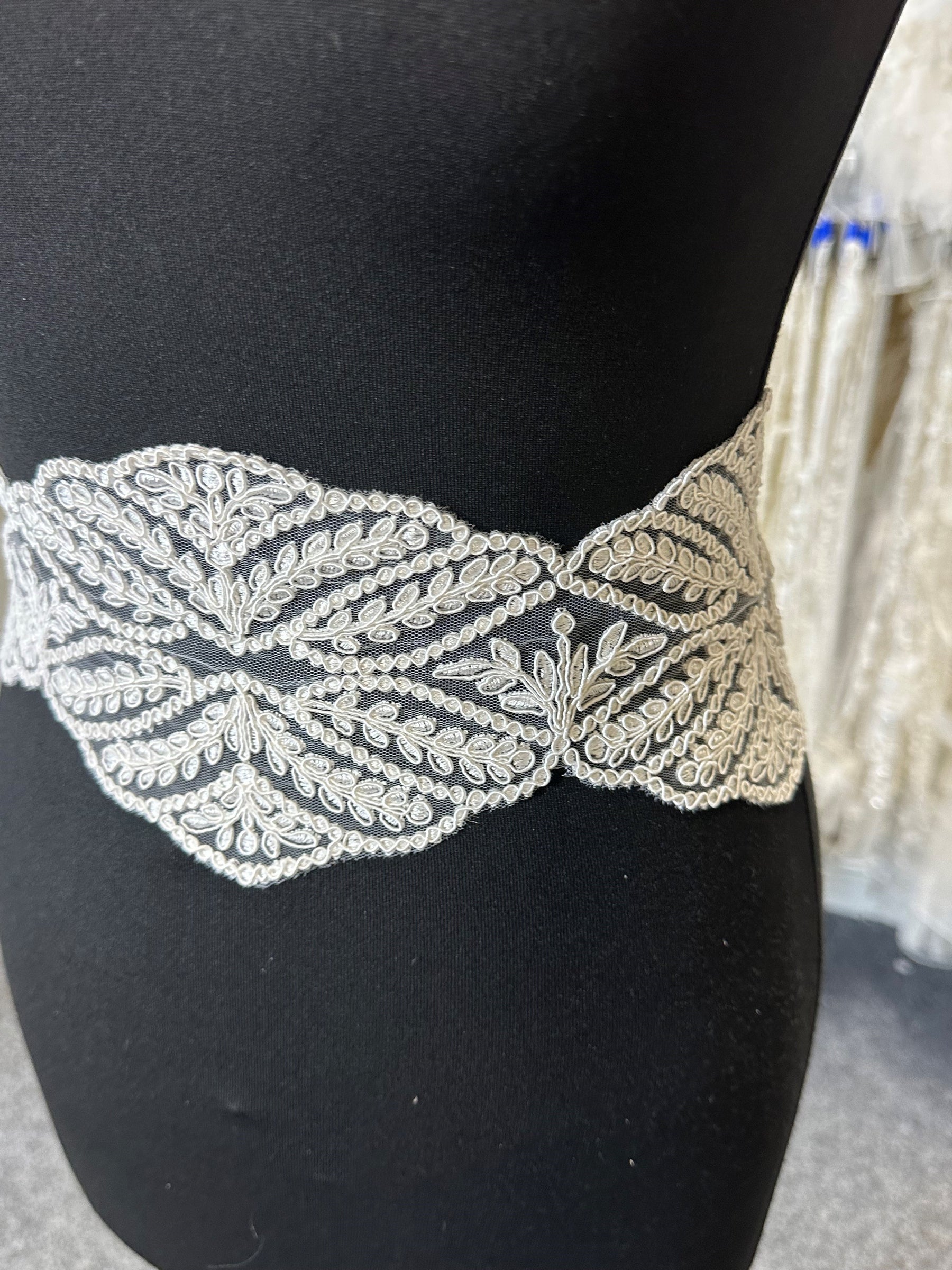 Ivory Corded Lace Trim - Vine