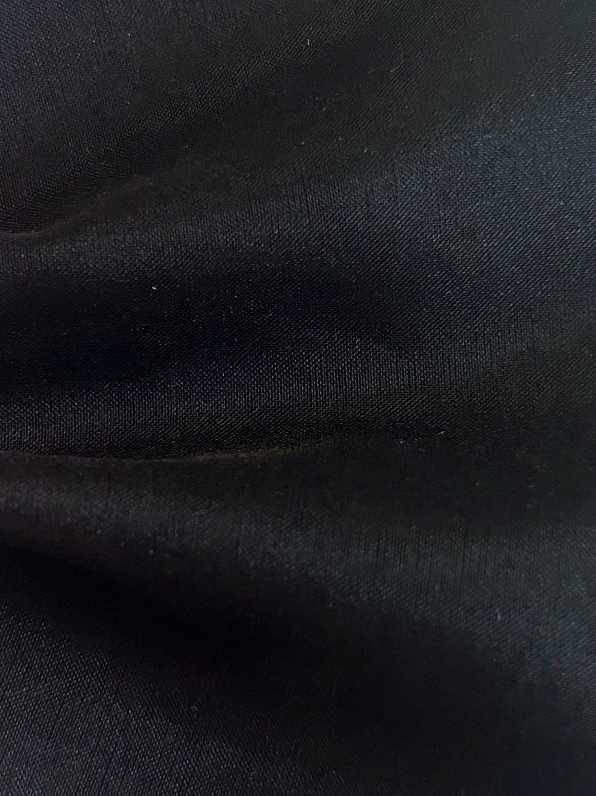 Black Silk Organza - Evolution