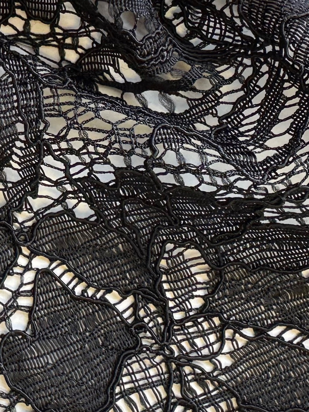 Black Corded Lace - Tocca