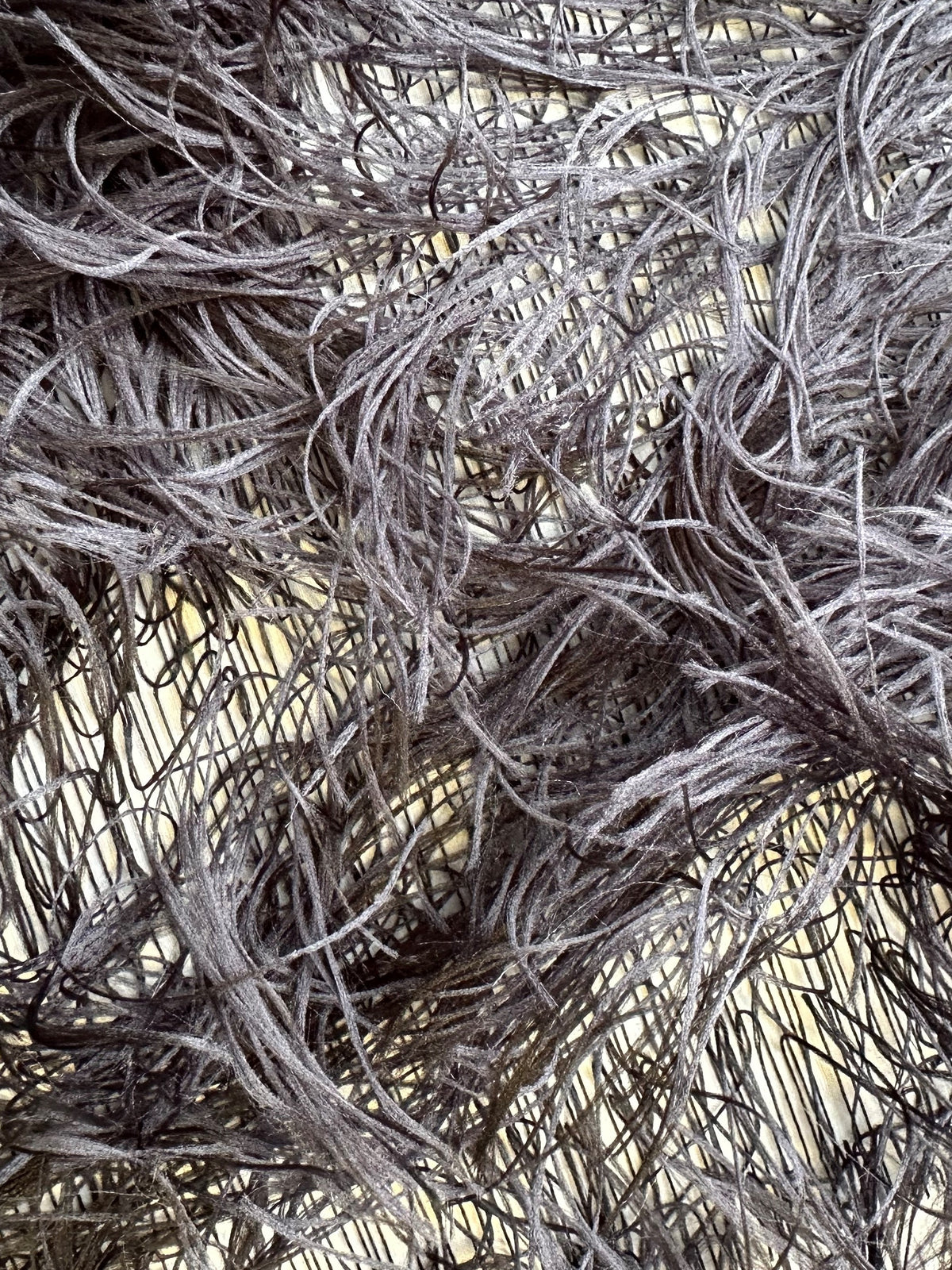 Black Feather Lace - Agenda