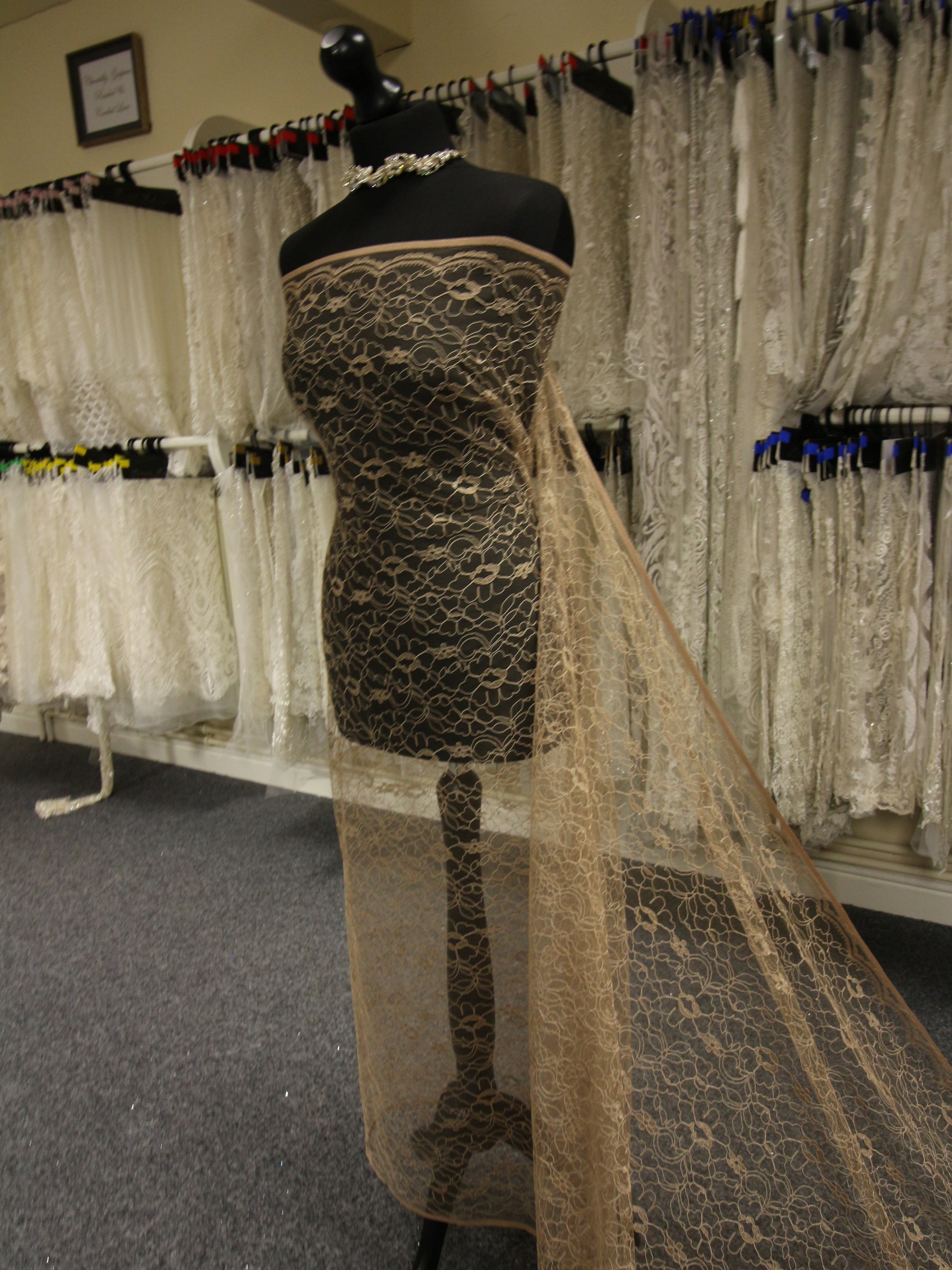 Cappuccino Corded Lace - Leanne