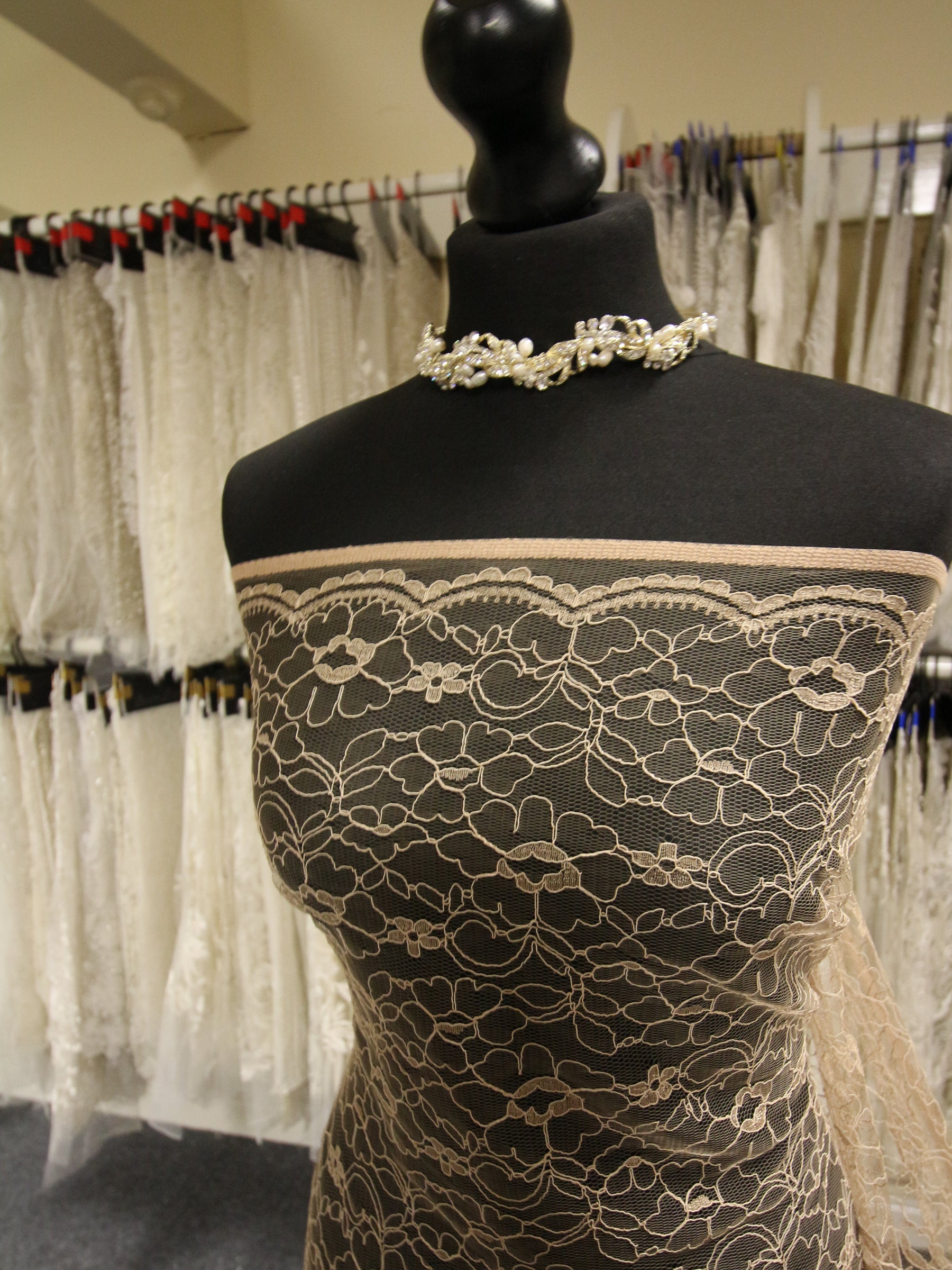 Cappuccino Corded Lace - Leanne