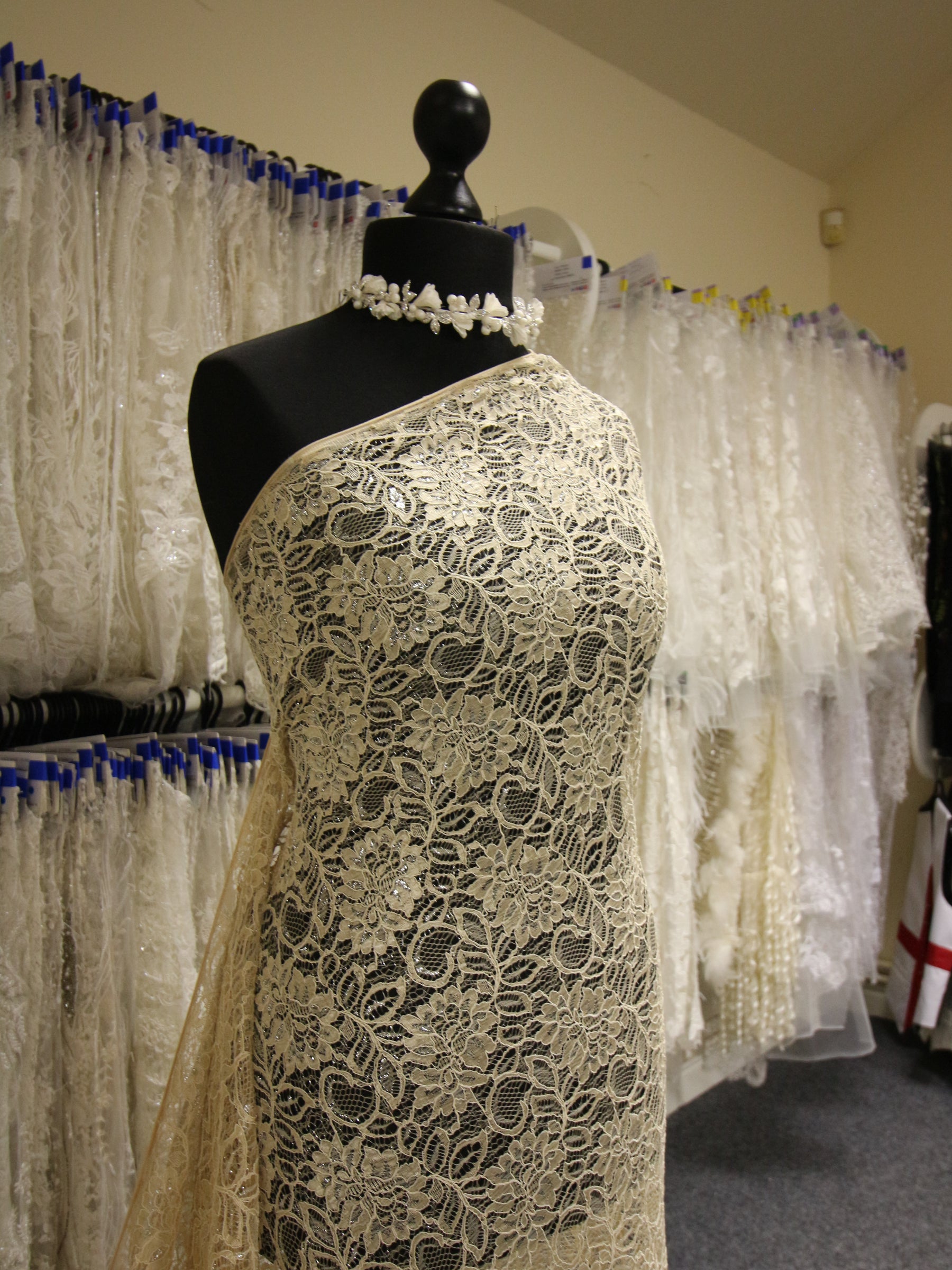 Champagne Raschel Lace - Ezra