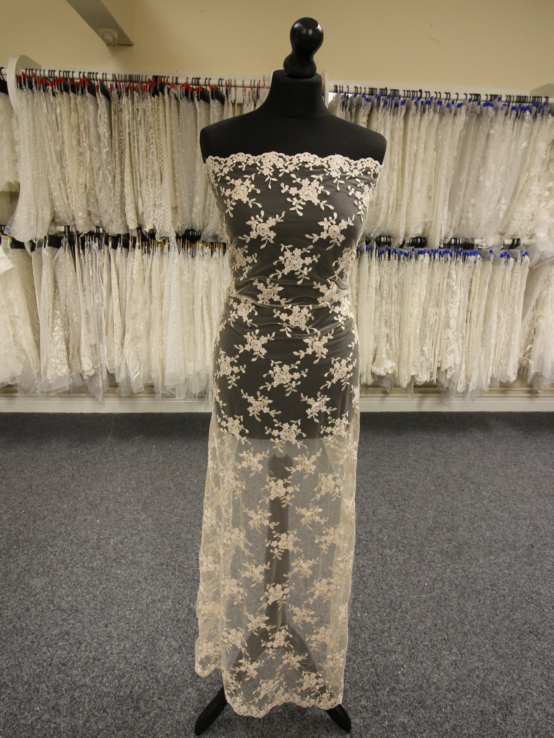 Champagne Corded Lace - Geraldine