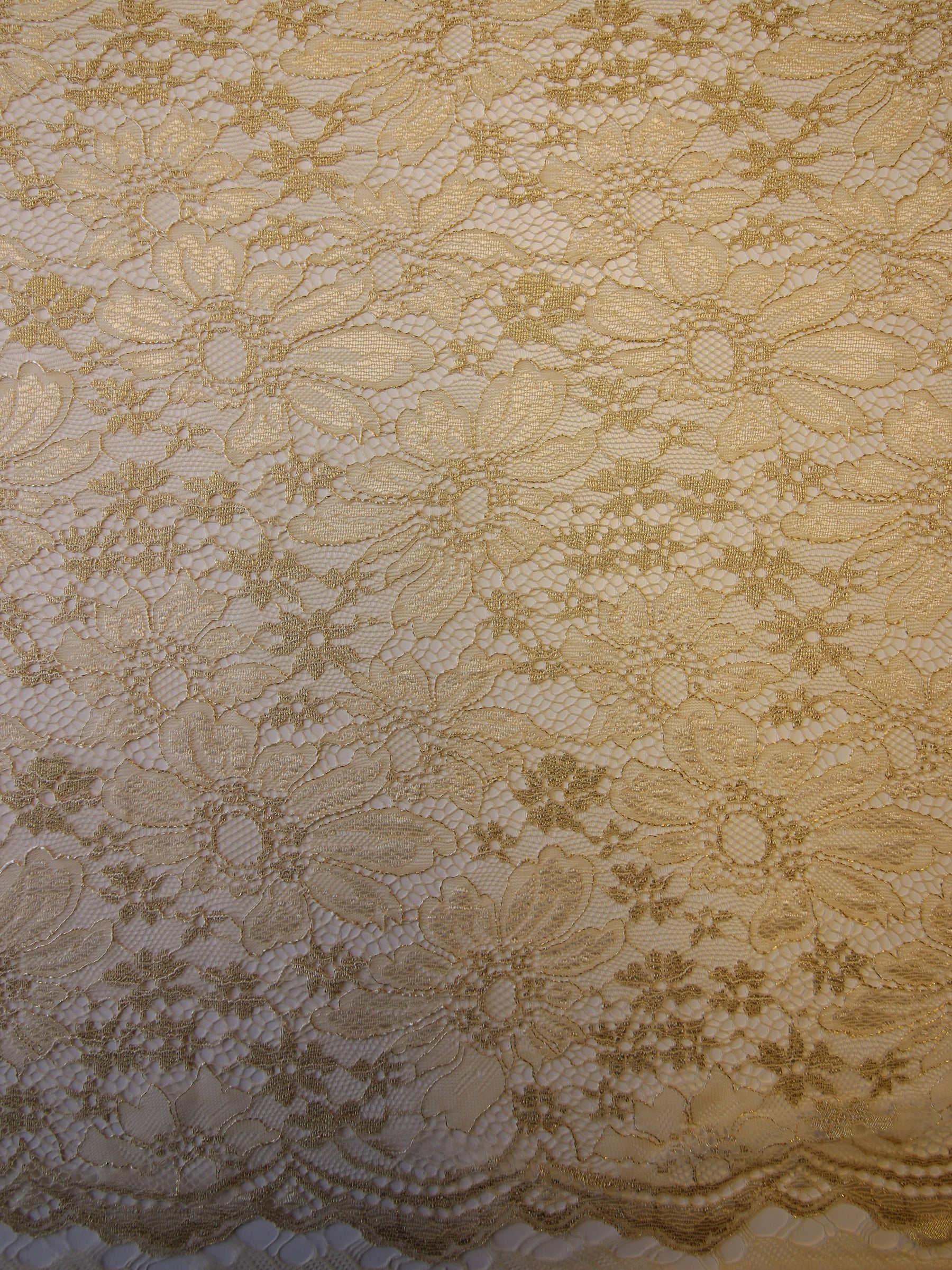 Champagne Raschel Lace - Moseley