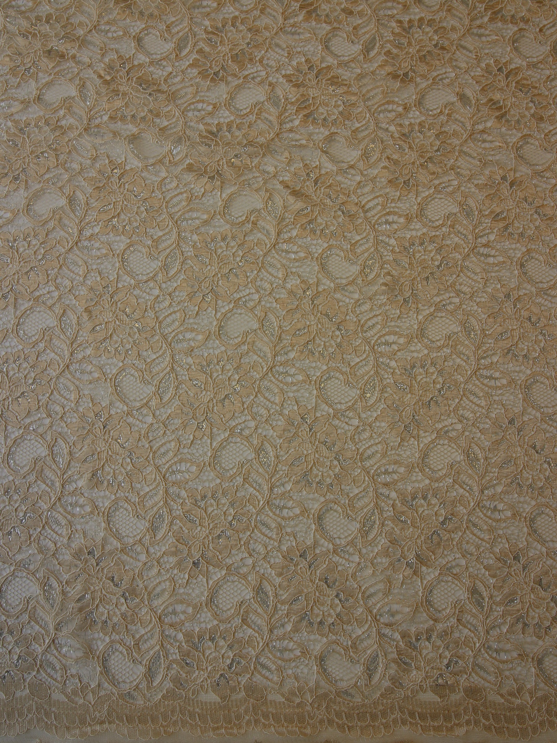 Champagne Raschel Lace - Ezra