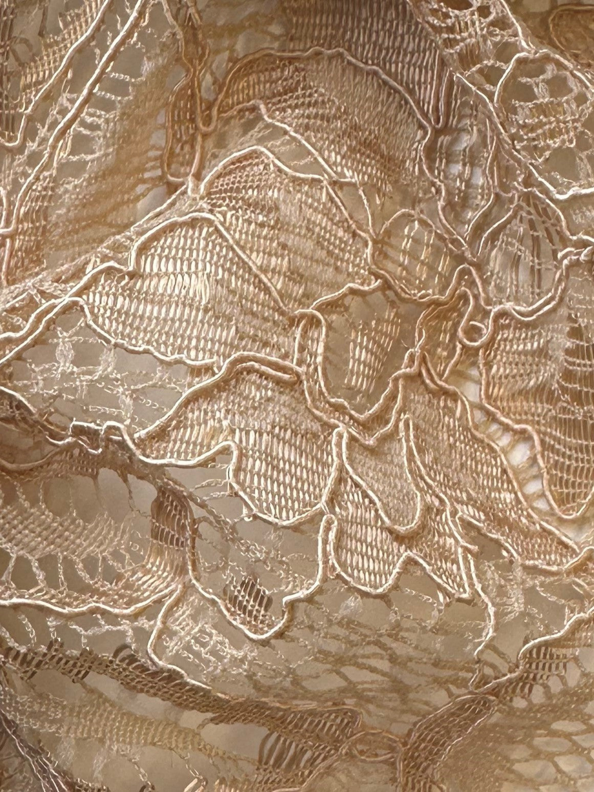 Champagne Corded Lace - Tocca