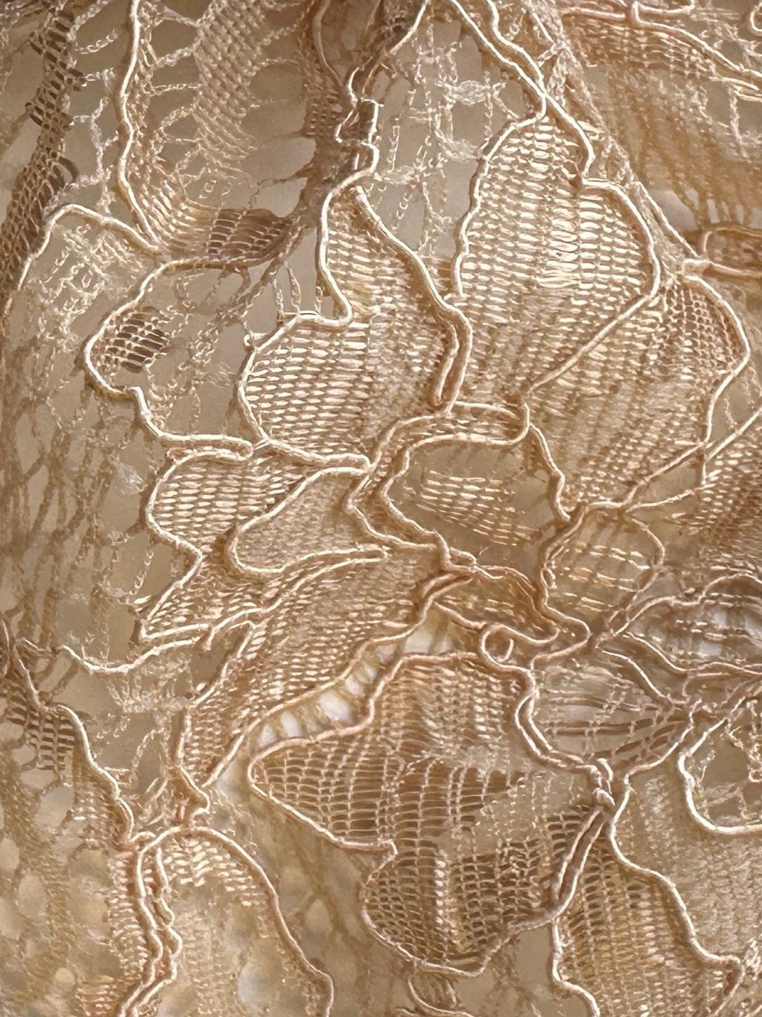 Champagne Corded Lace - Tocca