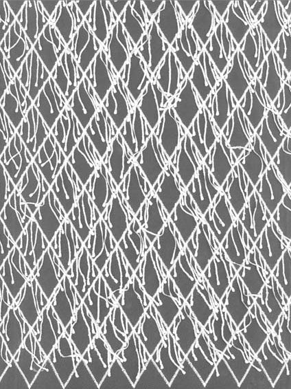 Ivory Embroidered 3D Lace - EB5029