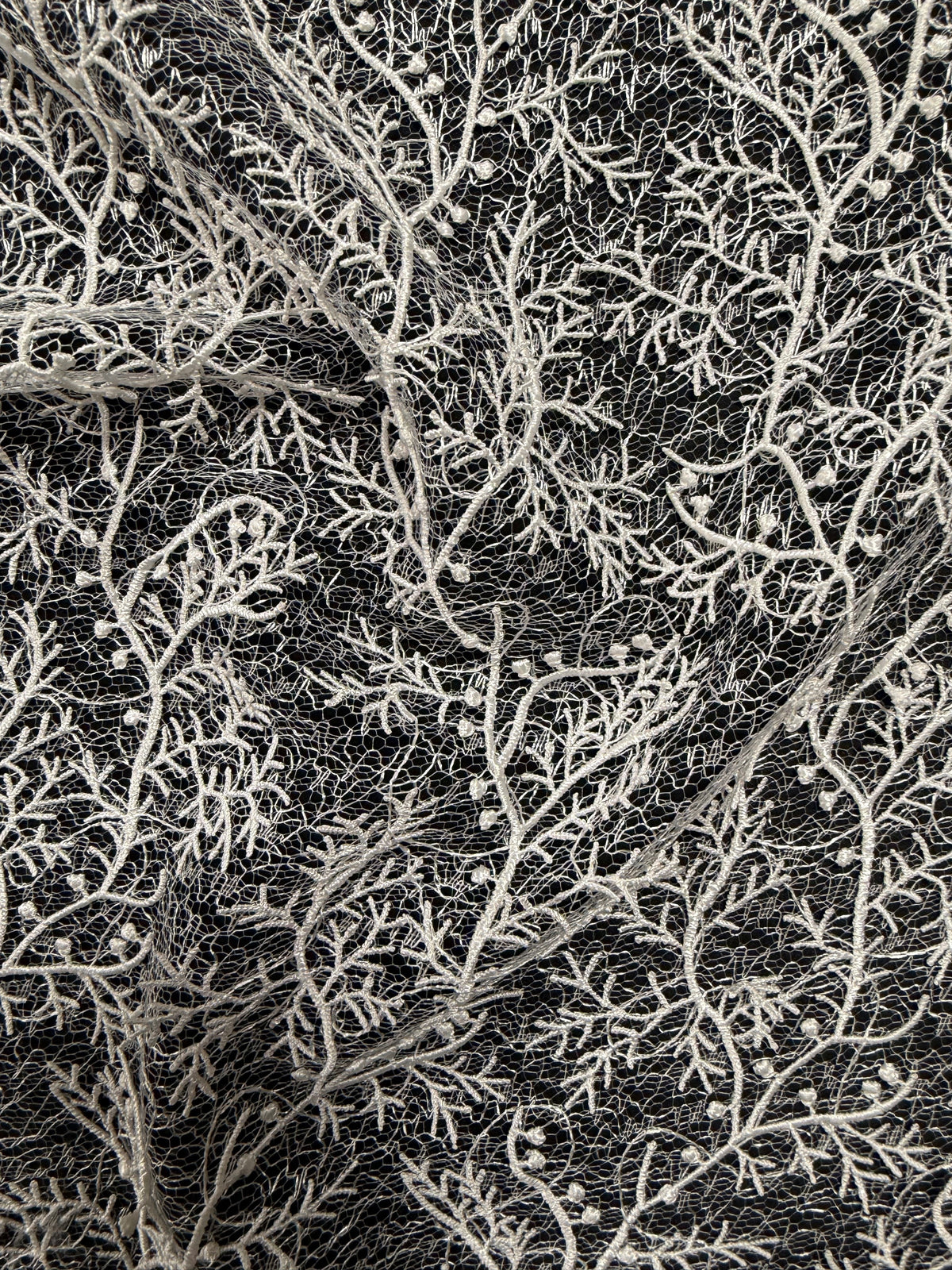 Ivory Embroidery Lace - EB5054