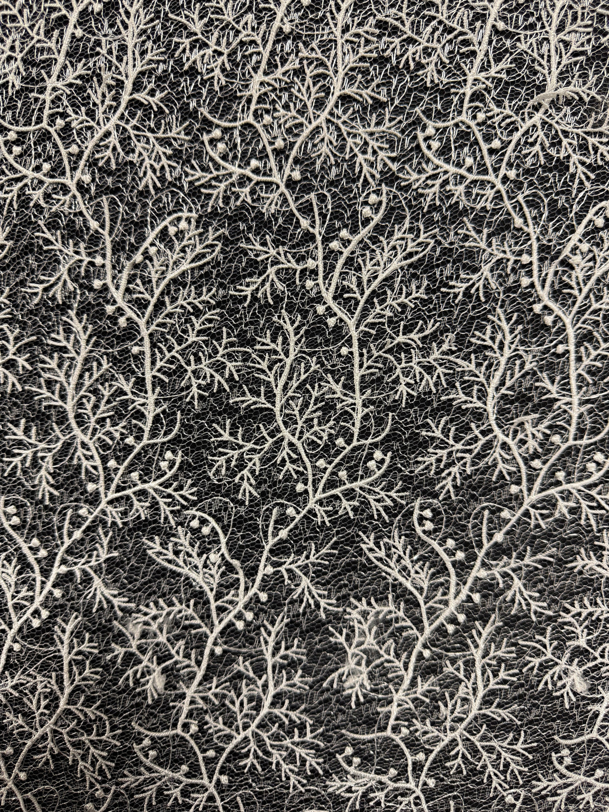 Ivory Embroidery Lace - EB5054