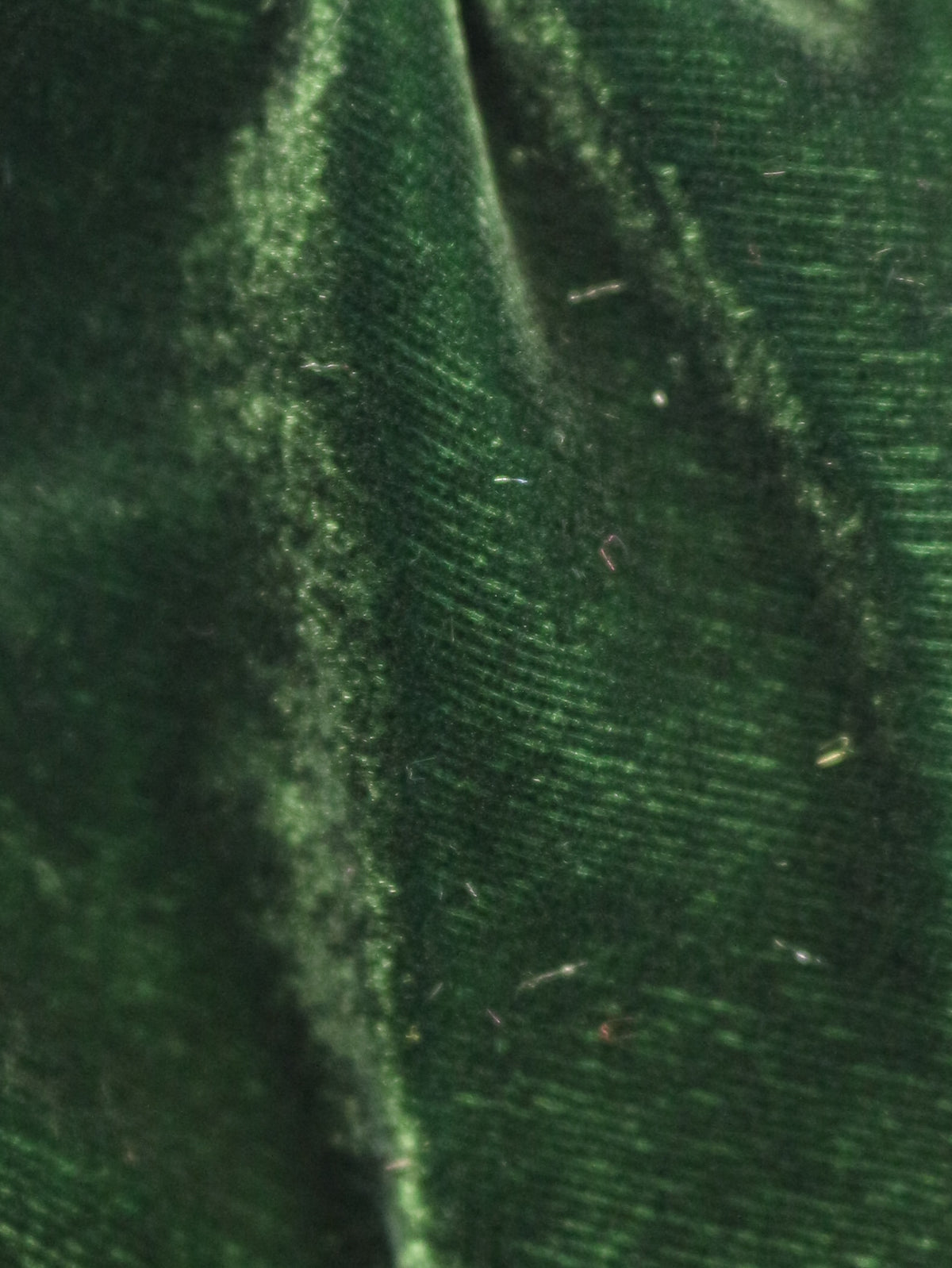 Forest Green Silk Velvet - Vogue