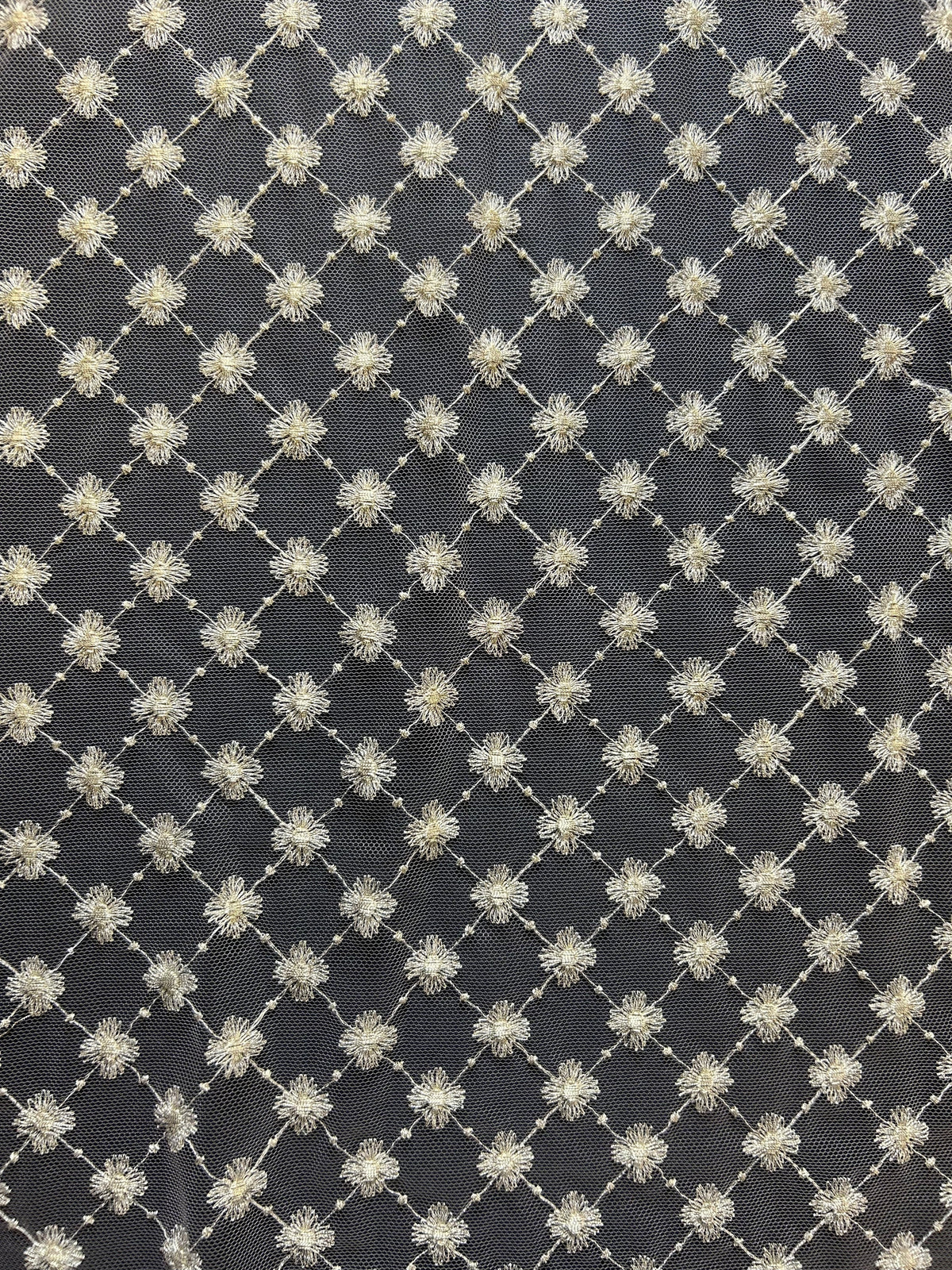 Champagne Embroidery Lace - Gavina