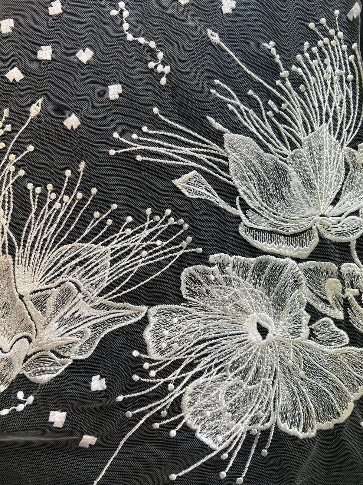 Ivory Embroidered Lace - Gioconda