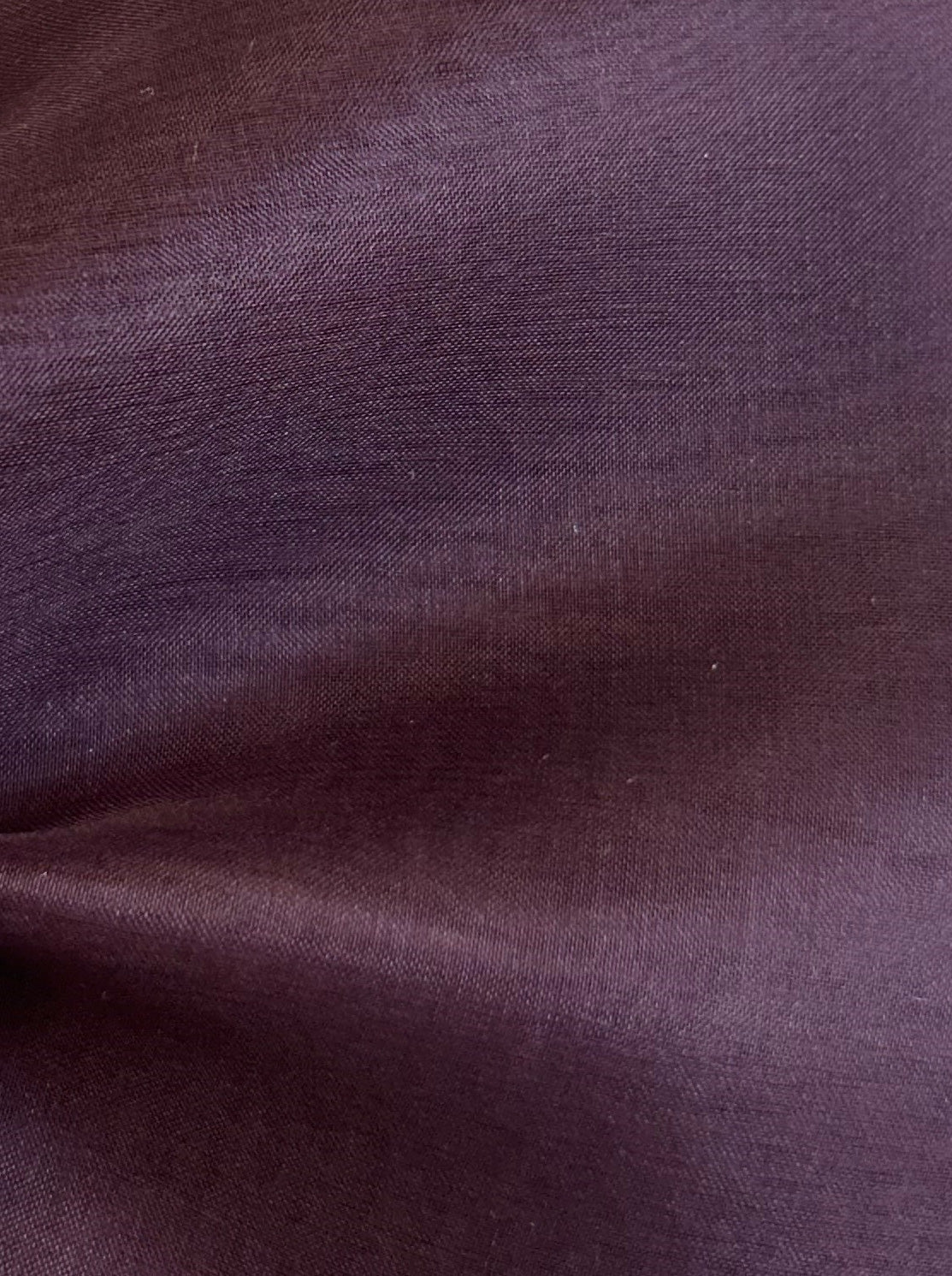 Grape Silk Organza - Evolution