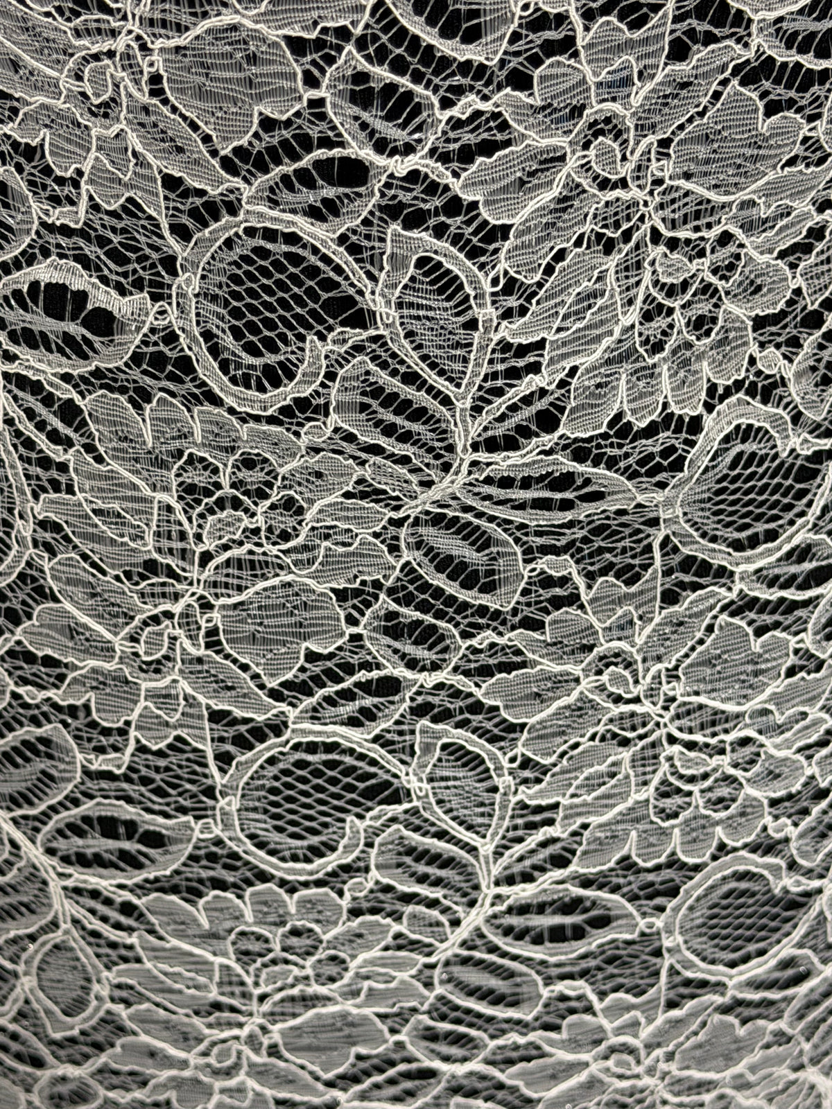 Silver Corded Lace - Mendap