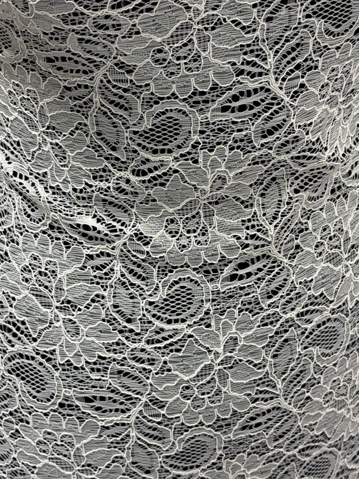 Ivory Corded Lace - Tocca