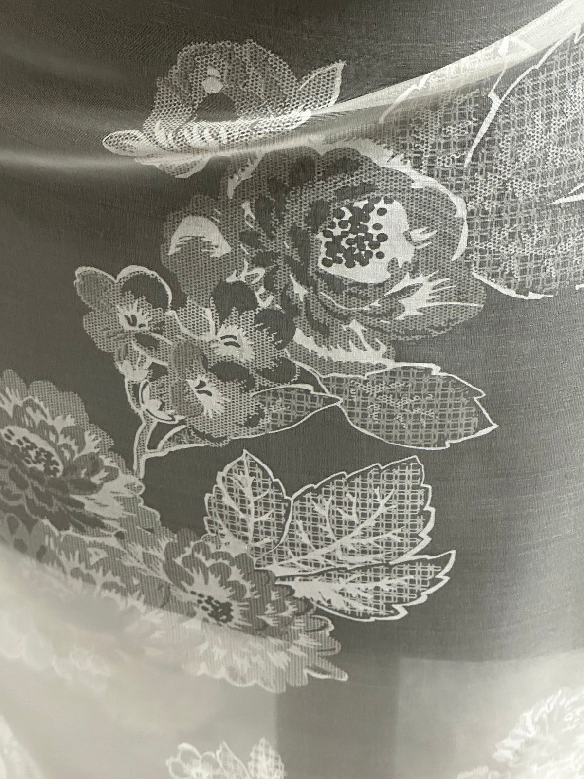 Ivory Printed Silk Organza - PR2005