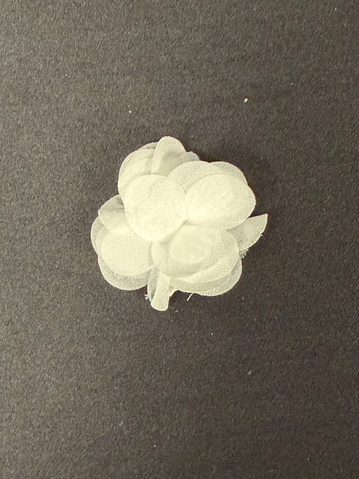 Ivory Motif - MT7007