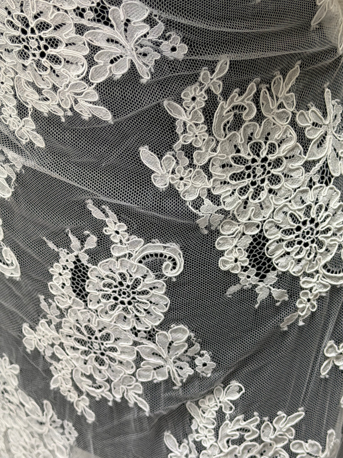 Ivory Corded Lace - P655