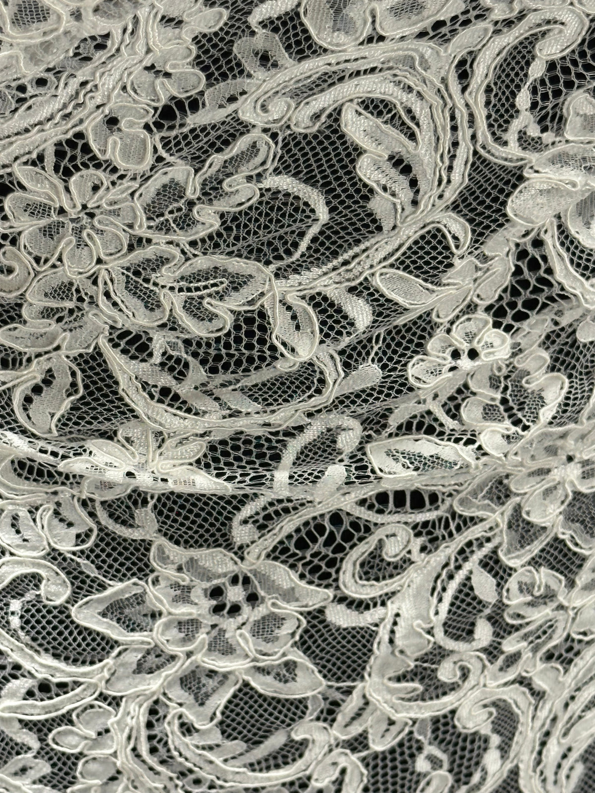Ivory Corded Lace - P633