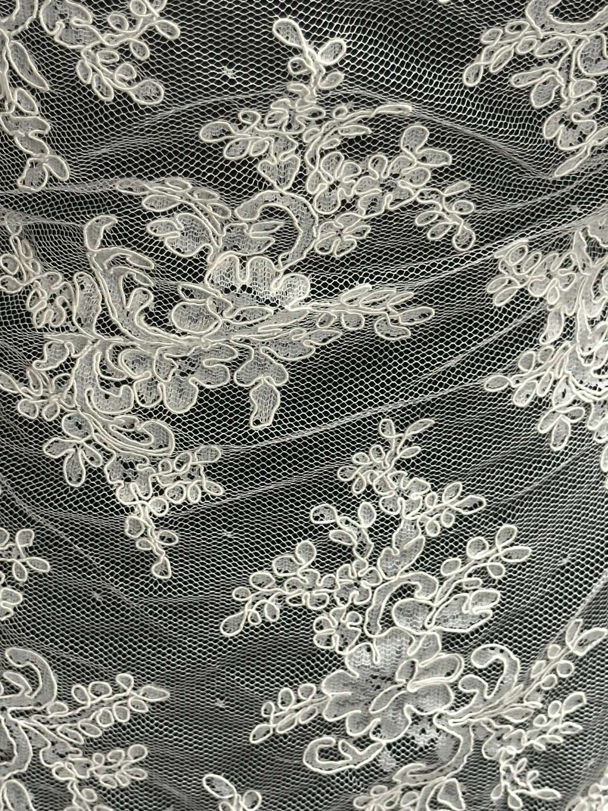 Ivory Corded Lace - P637