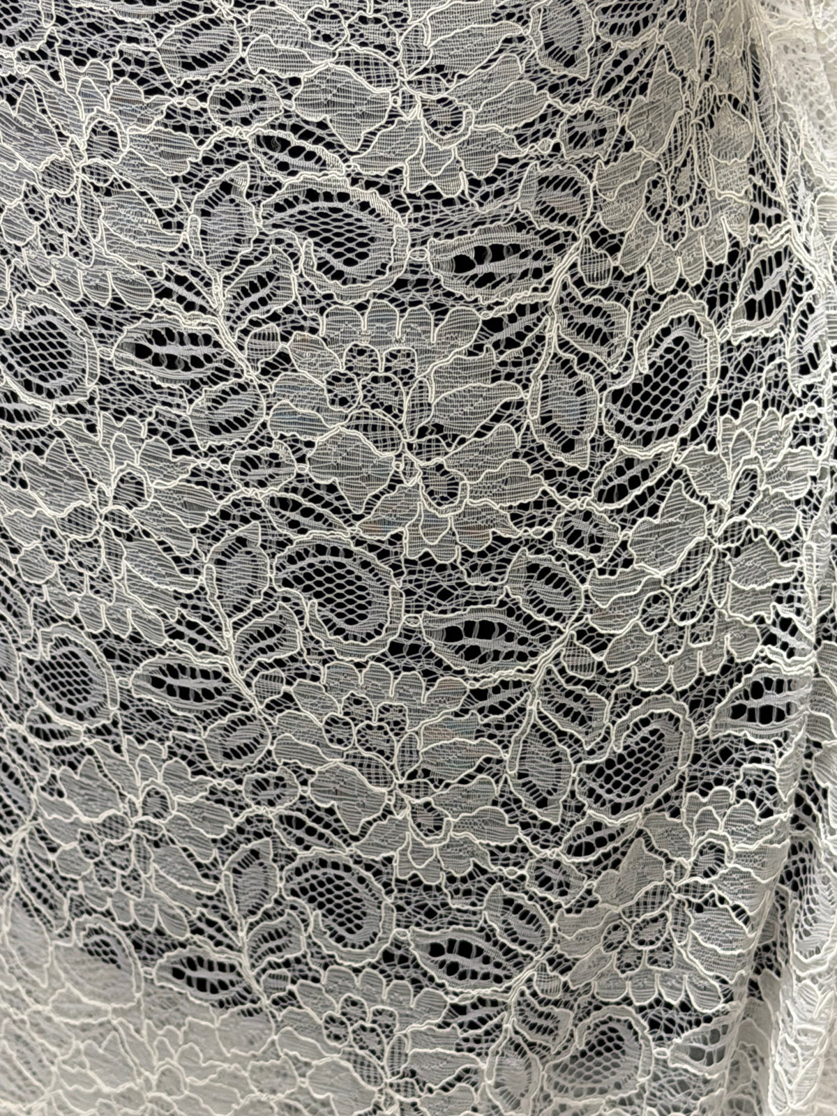 White Corded Lace - Tocca