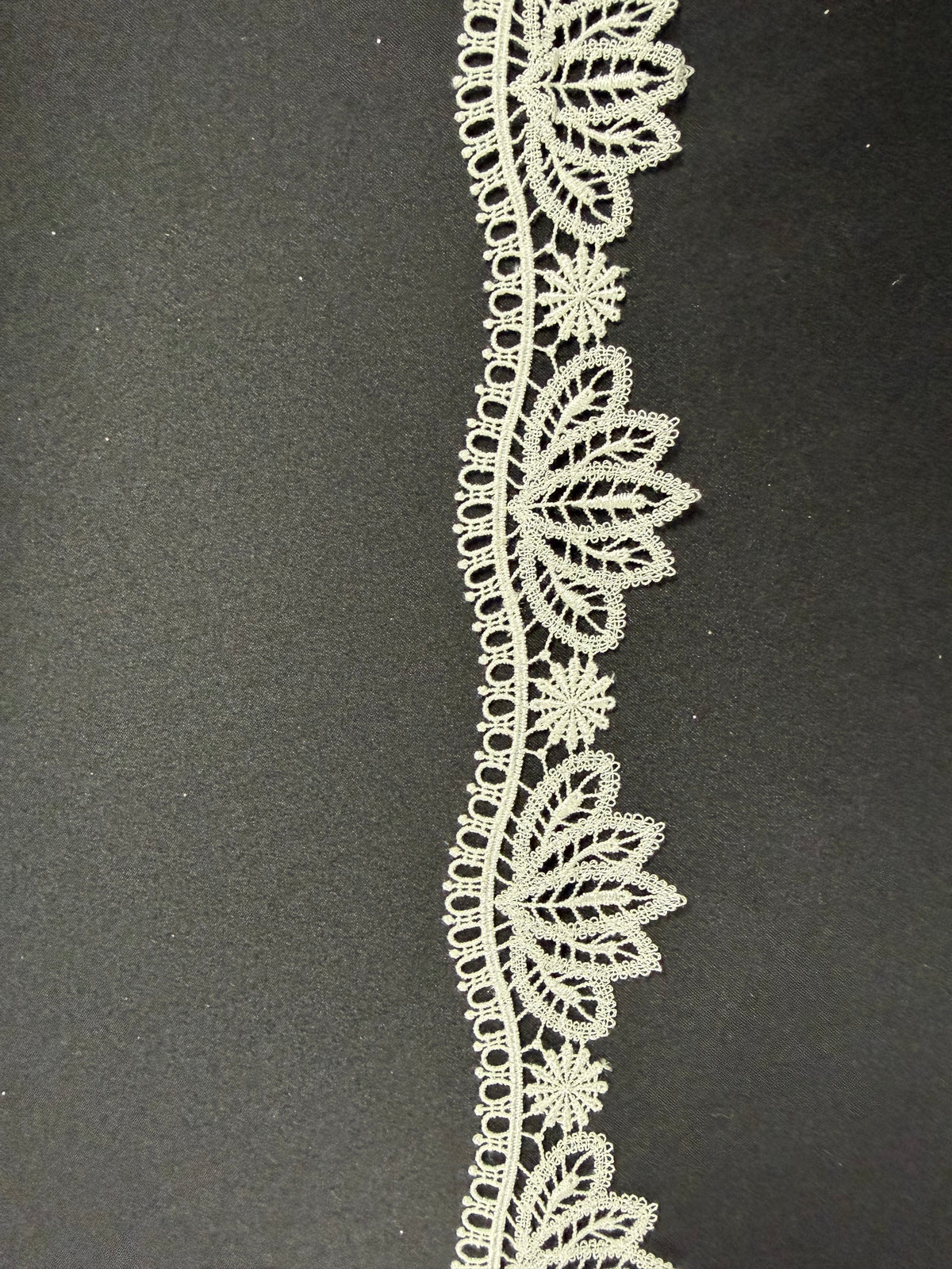Ivory Edging - EF4009