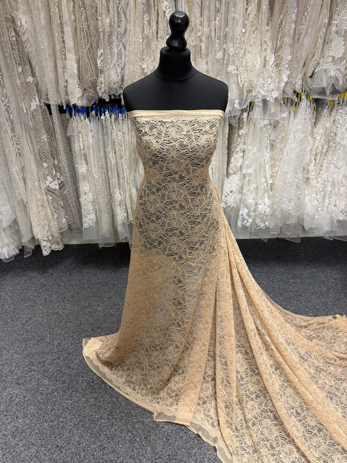 Champagne Corded Lace - Tocca