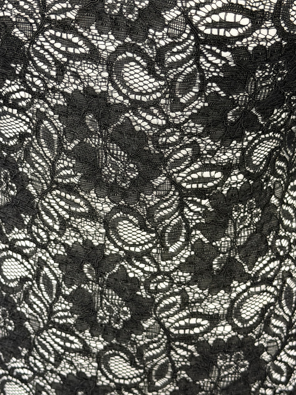 Black Corded Lace - Tocca
