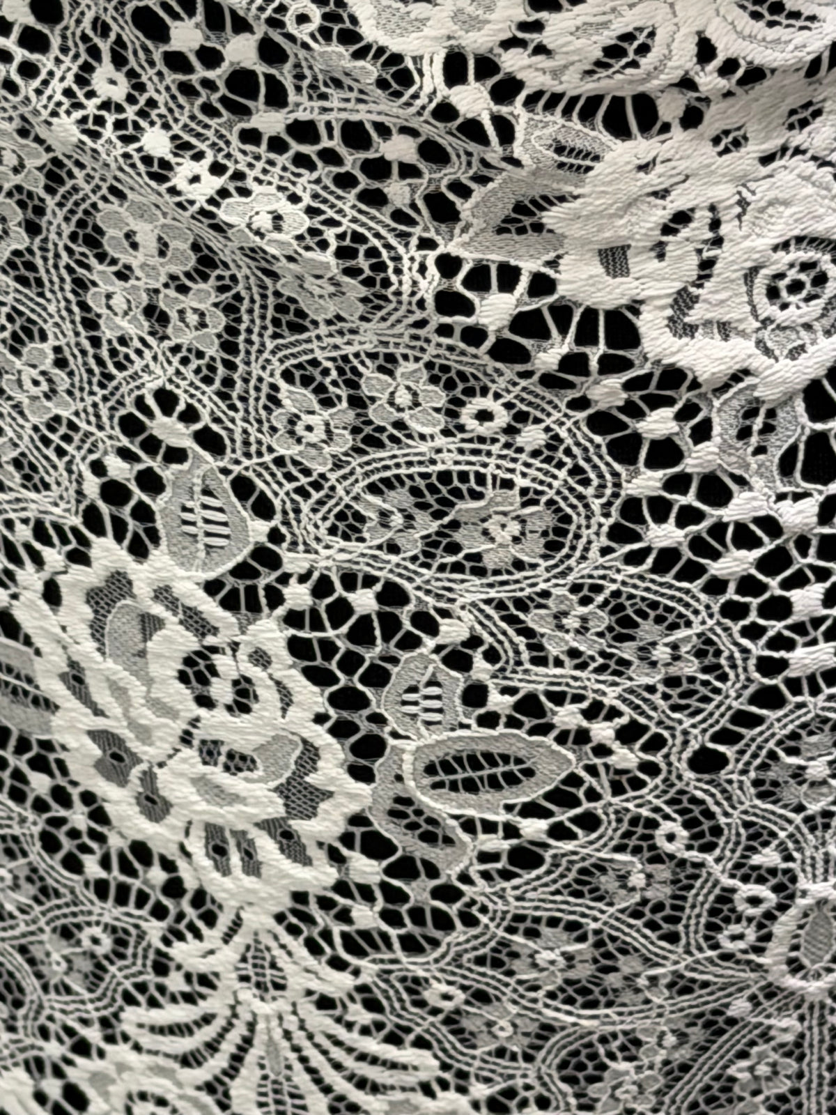 Ivory Lace - LA1012