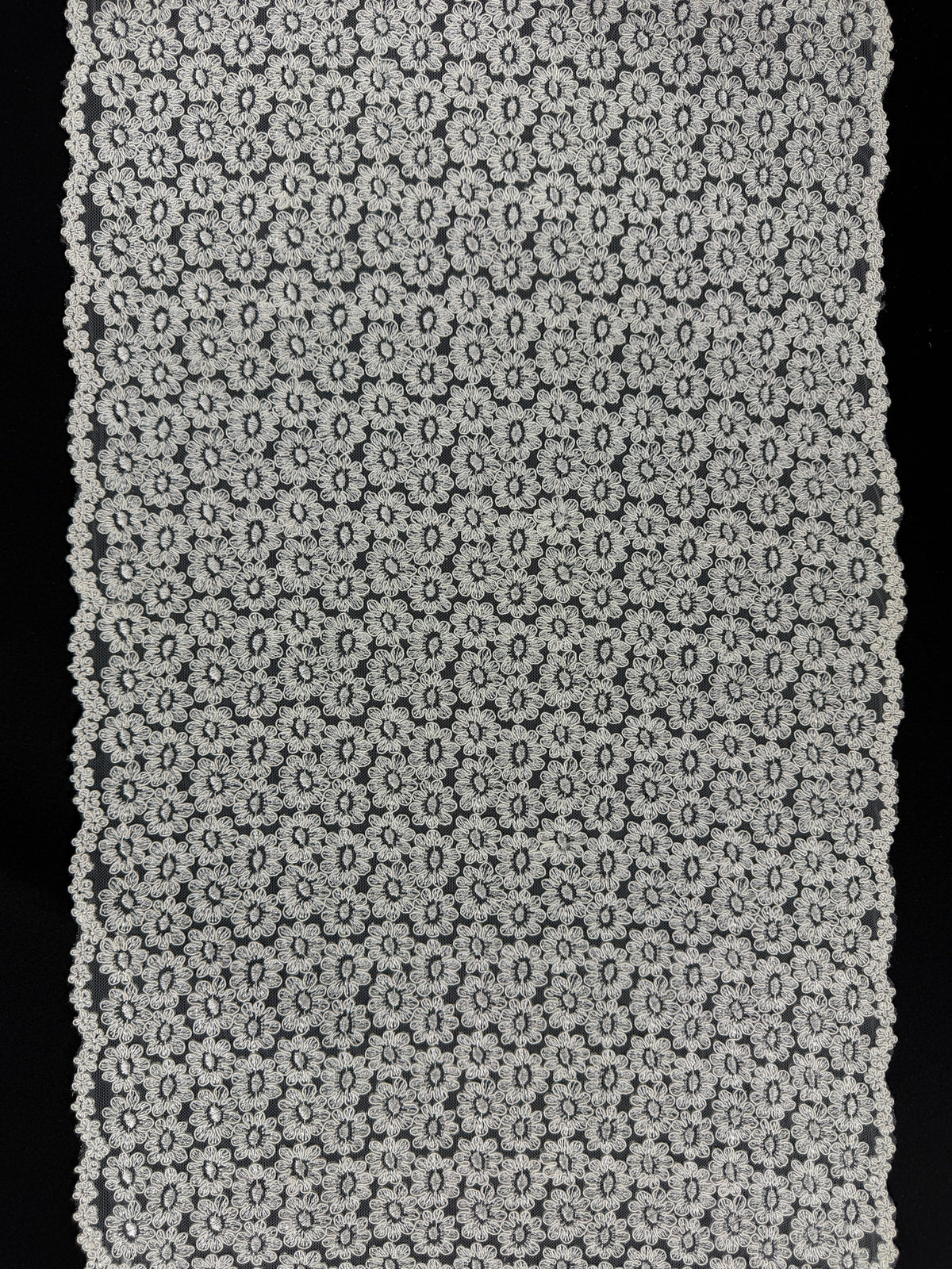 Ivory Corded Lace Trim - T624