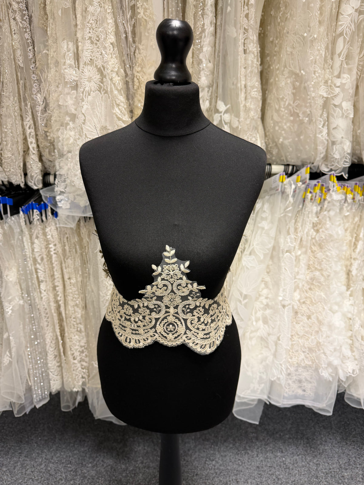 Champagne Corded Lace Trim - T623