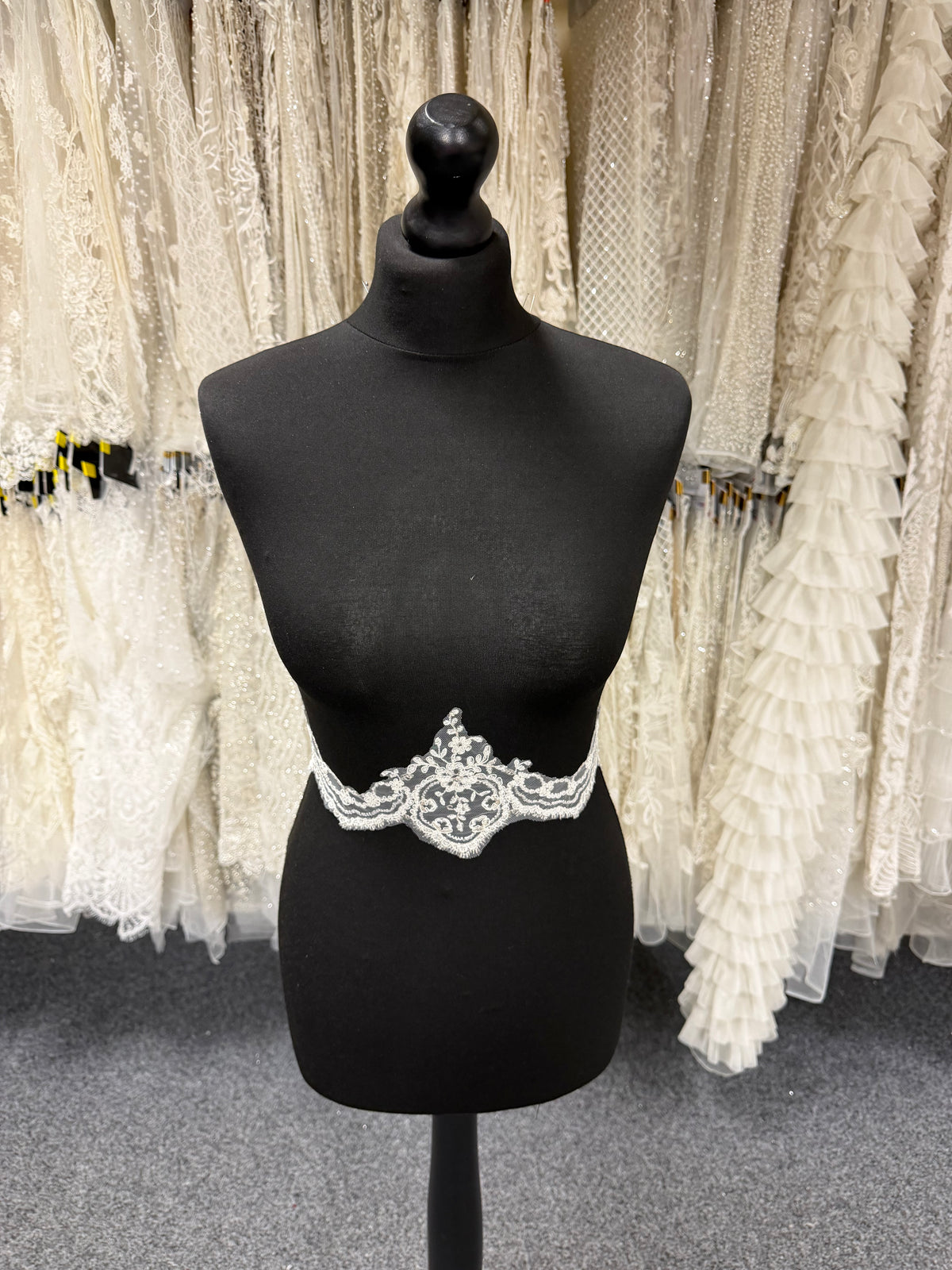 Ivory with Silver Embroidered Lace Trim - T298