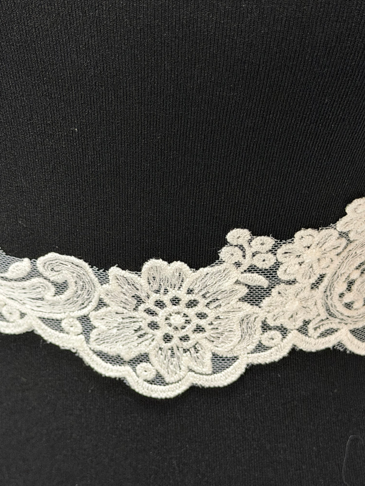 Ivory Embroidered Lace Trim - T746
