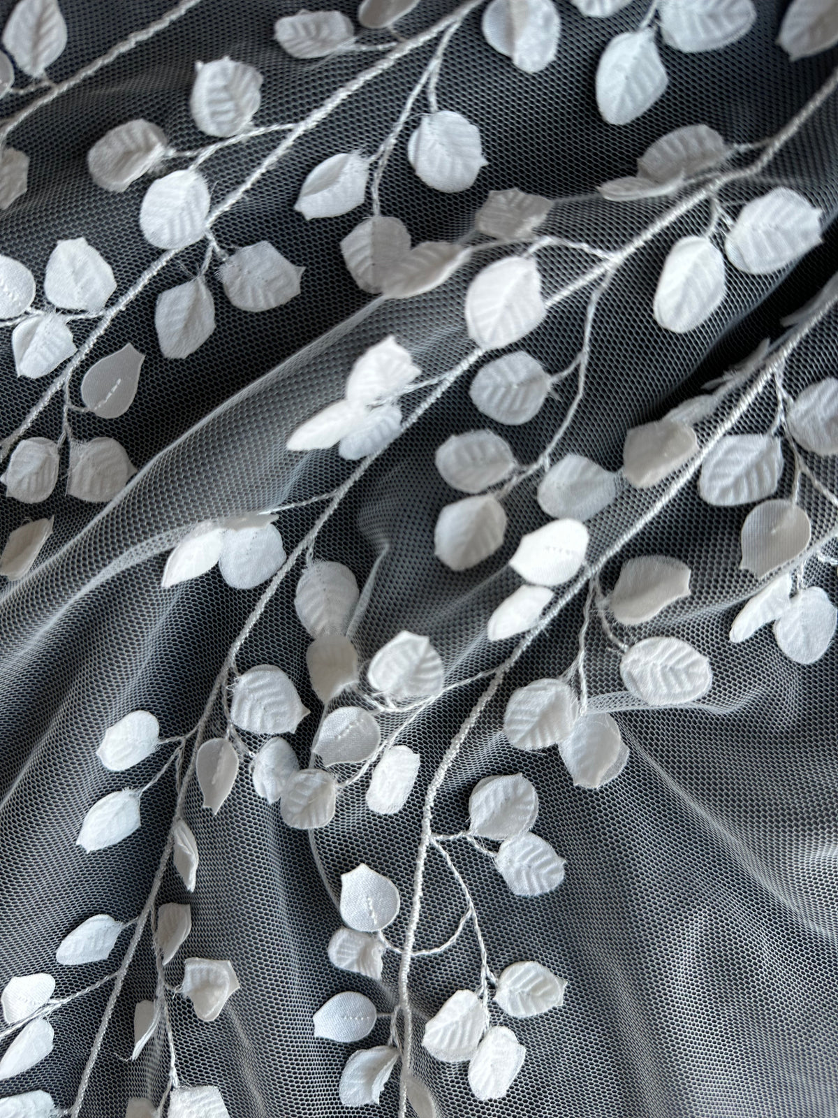 Ivory Embroidered Lace – EB5007