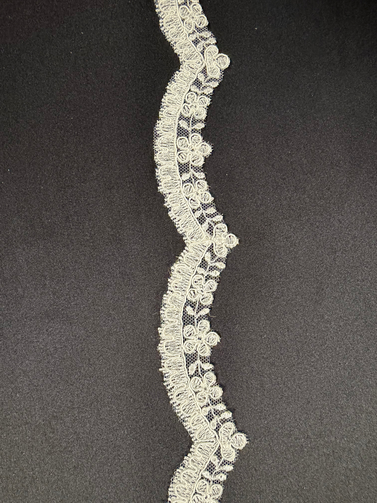 Ivory Corded Lace Trim - T665