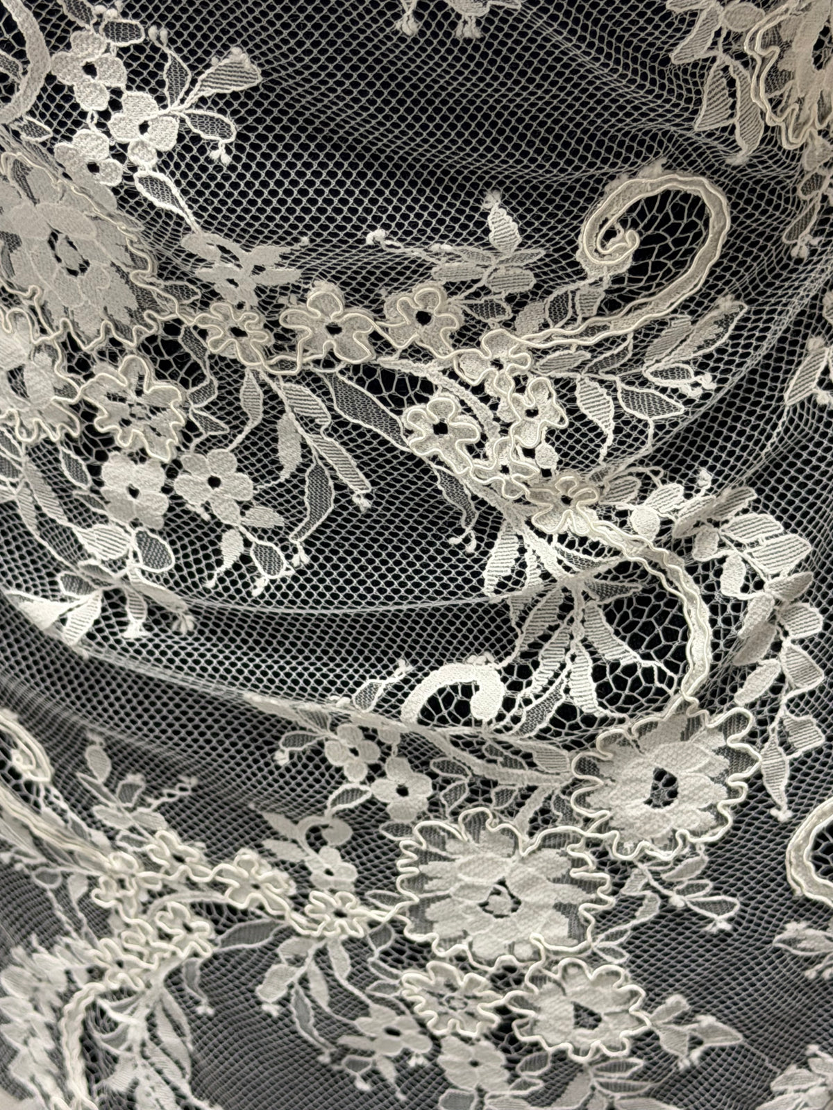 Ivory Corded Lace - Freddi