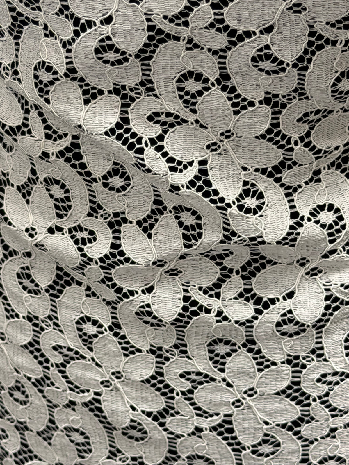 Ivory Corded French Lace - LA4008
