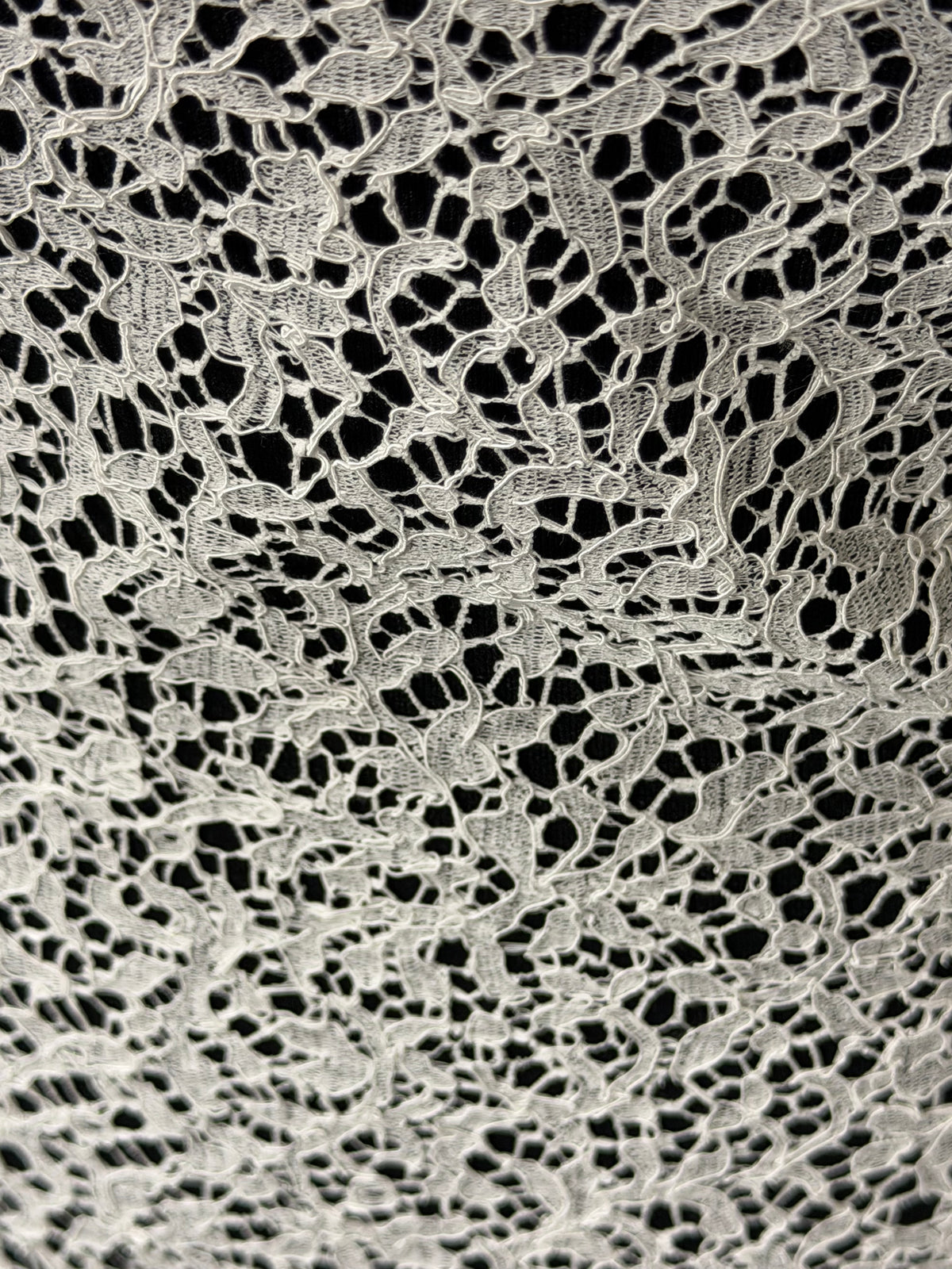 Ivory Corded French Lace - LA4005