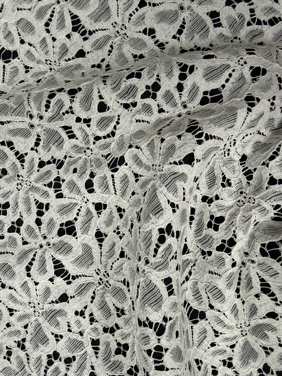 Ivory Corded French Lace - LA4006