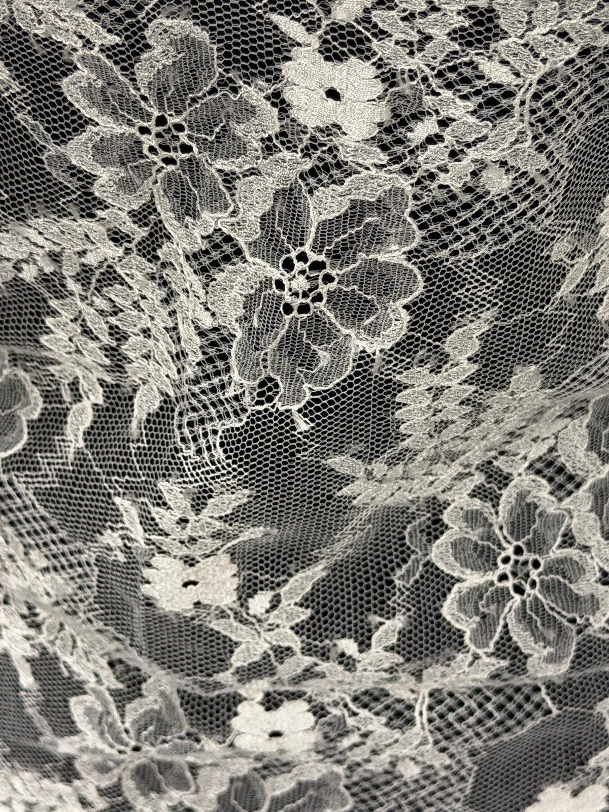 Ivory Leavers Lace - P736