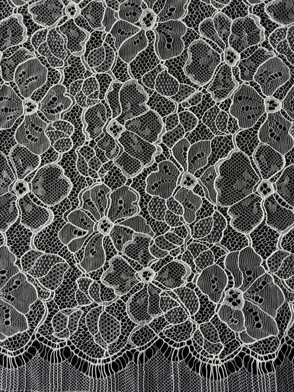 Ivory Corded Chantilly Lace - P727