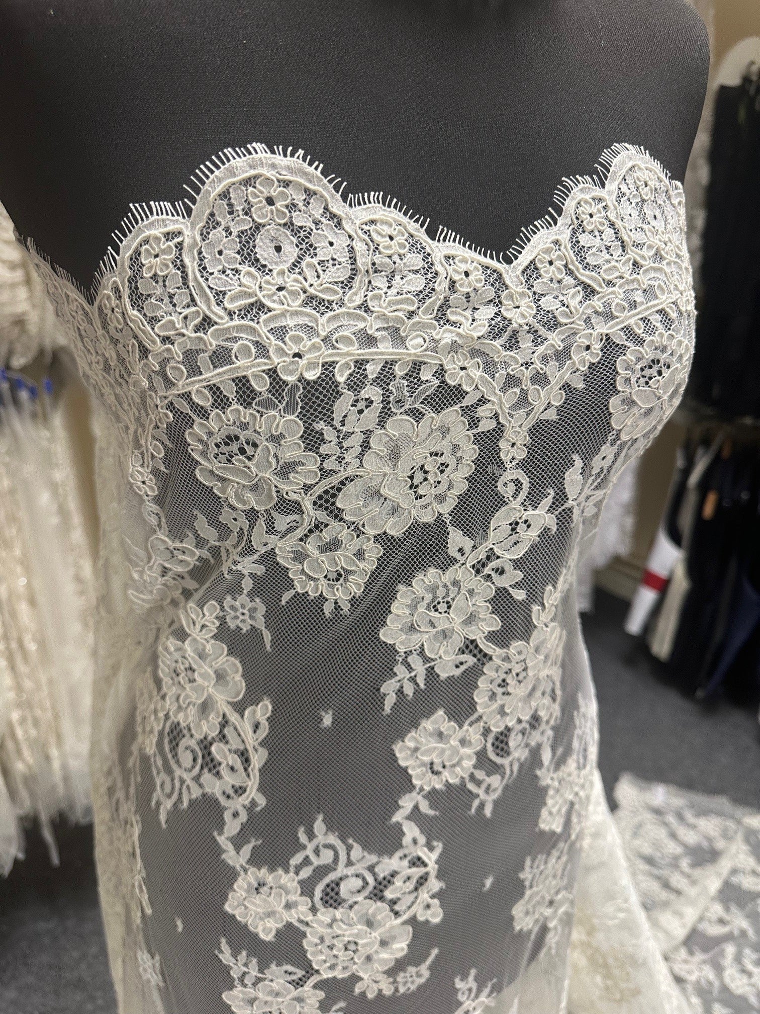 Ivory Corded Lace - Amelia