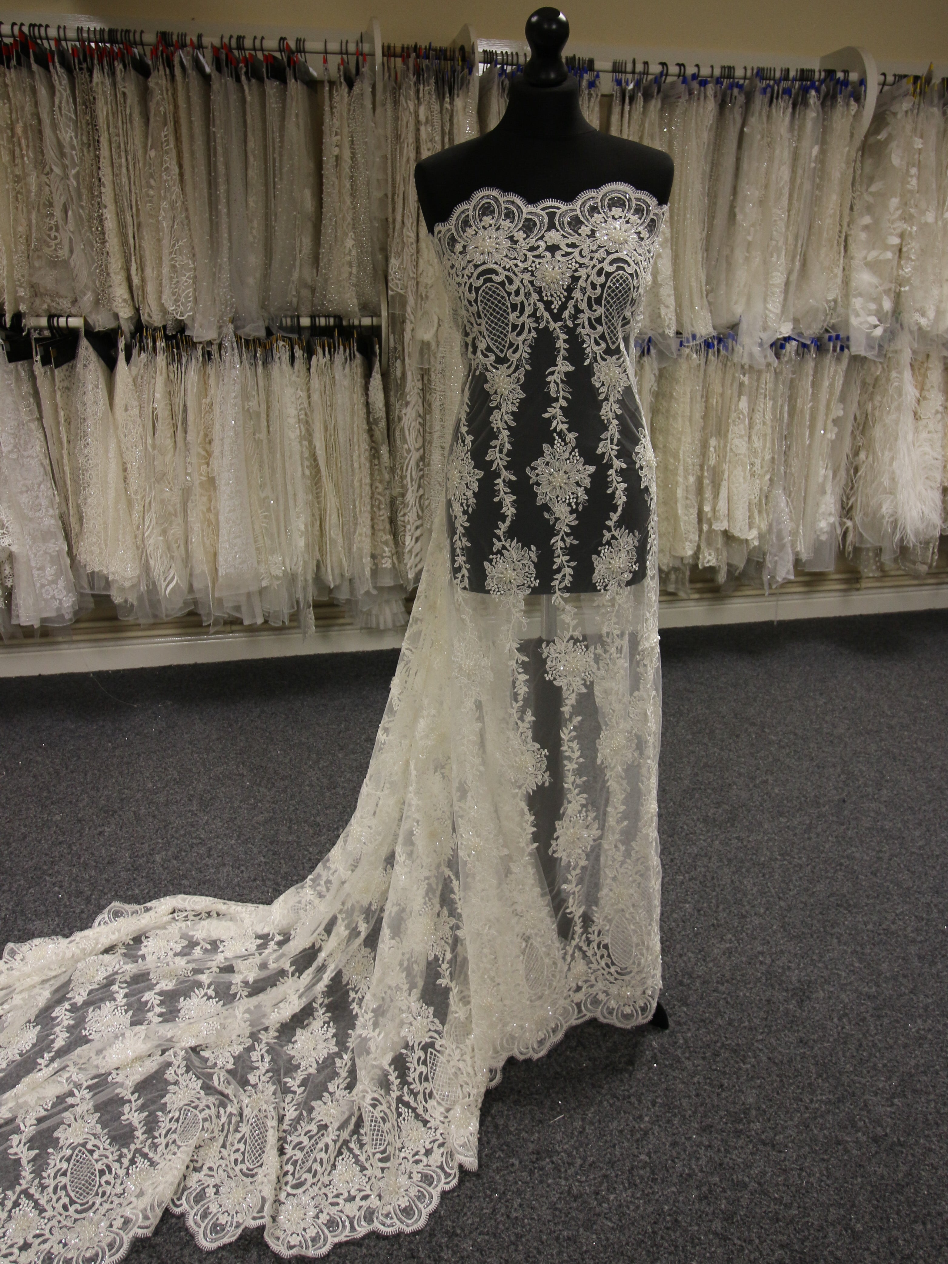 Discounted Ivory Corded and Beaded Lace
