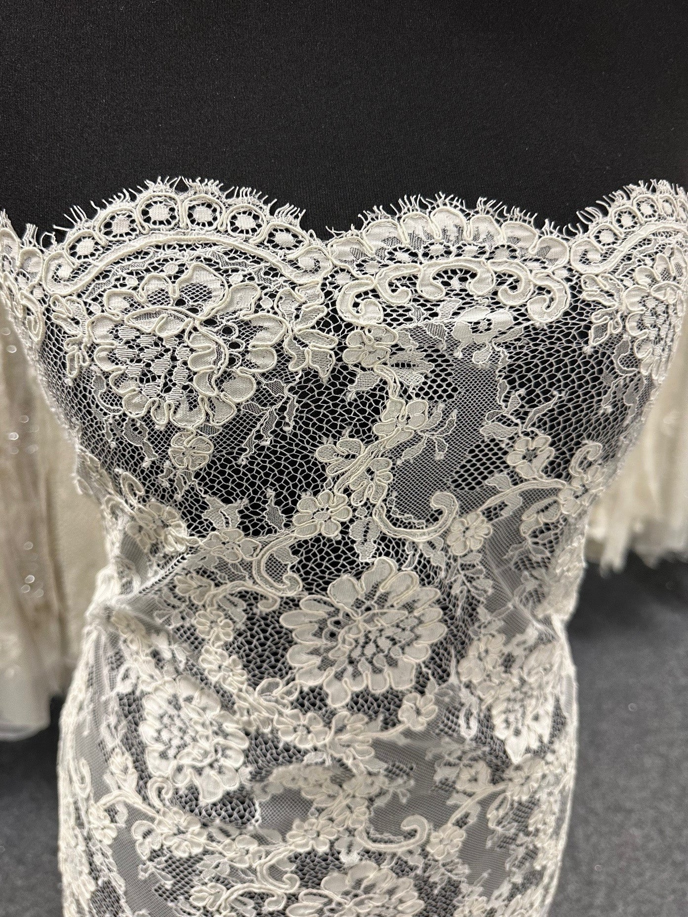 Ivory Corded Lace - Dionne